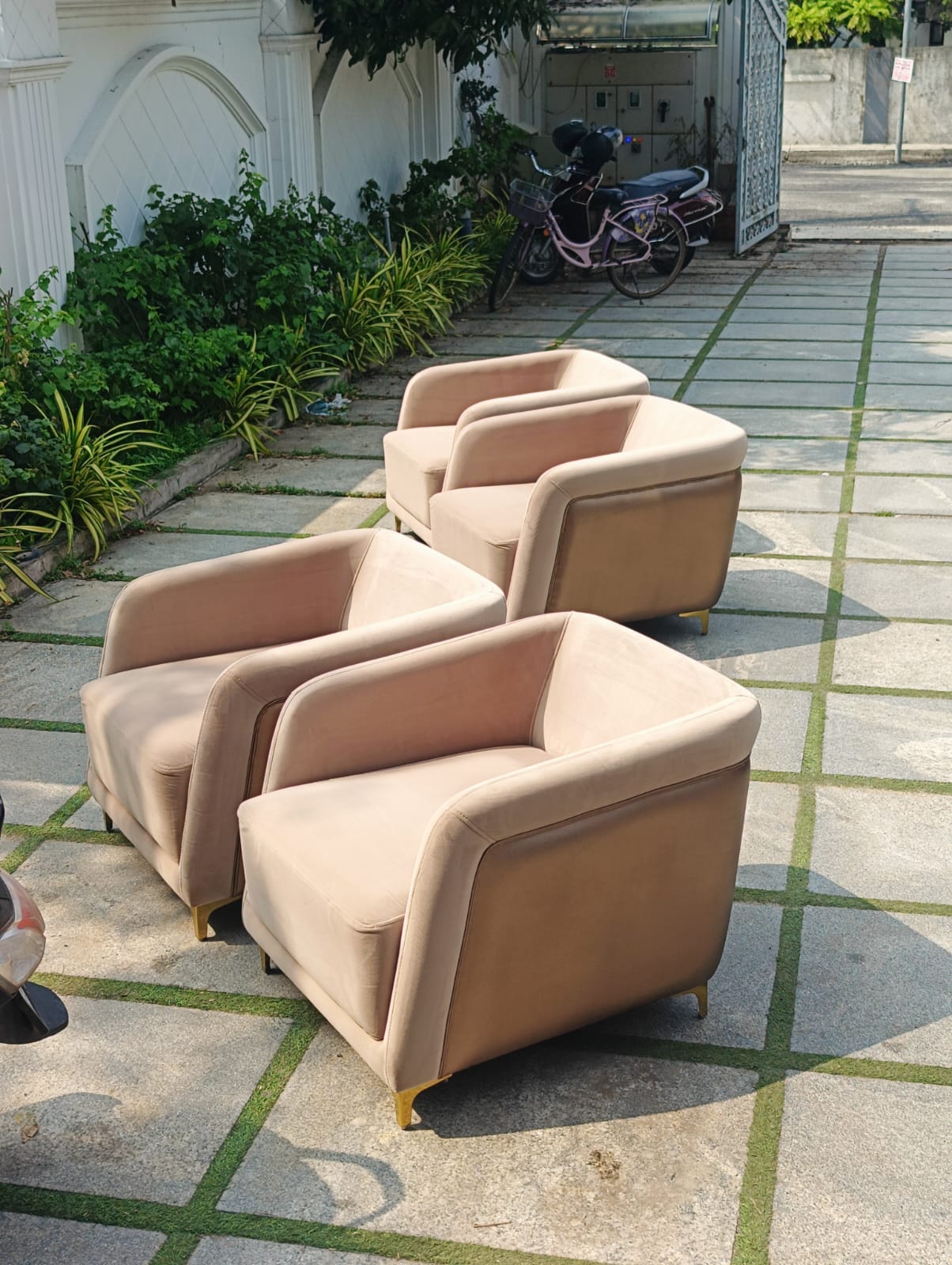 Sofa Shampoo Cleaning