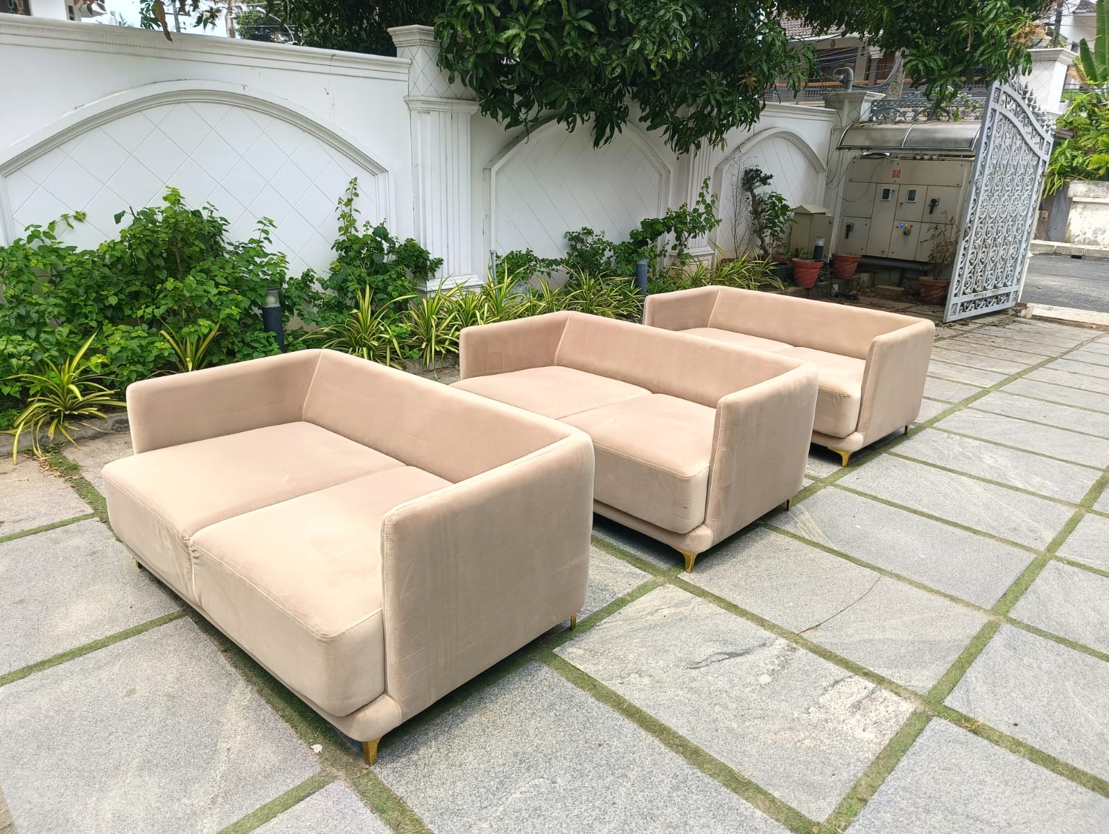 Sofa Shampoo Cleaning