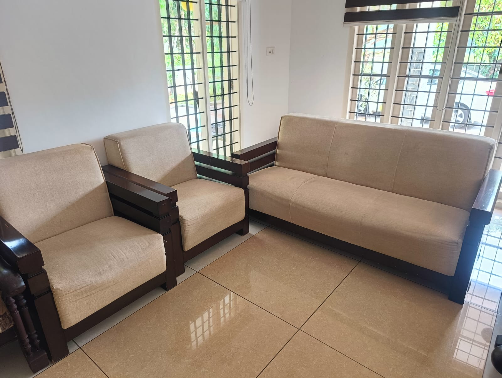 Sofa Shampoo Cleaning